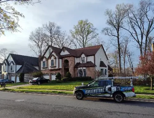 Roof Maintenance Tips for Every Season