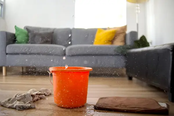 Leaking Roof
